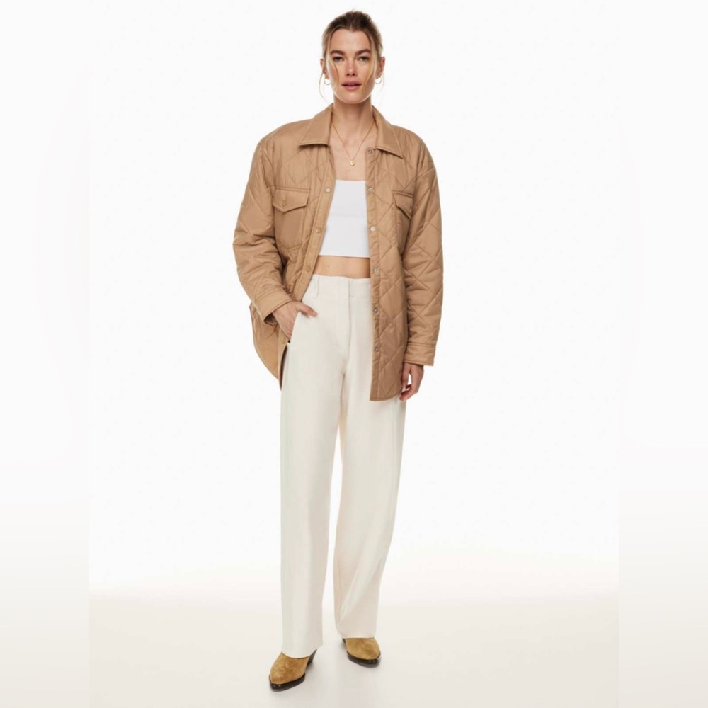 Aritzia - Ascendant utility pant